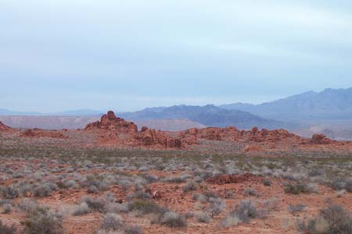 Nevada (51)